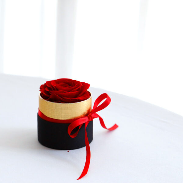 Eternal Roses In Box Preserved Real Rose Flowers With Box Set Valentines Day Gift Romantic Artificial Flowers – Image 6