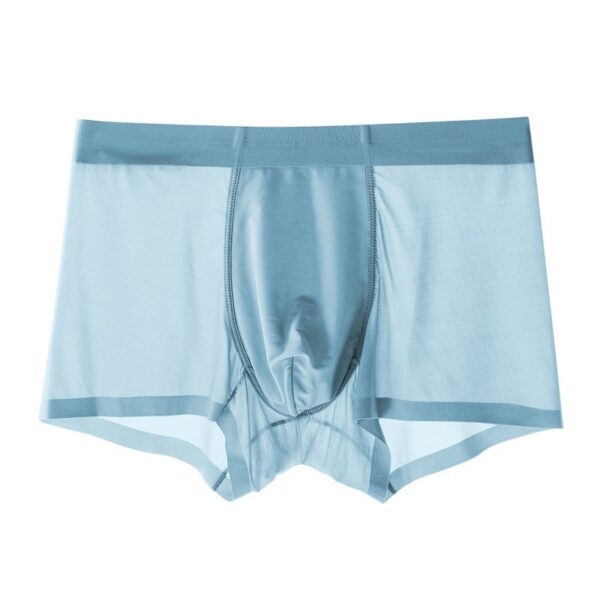 Summer Men's Ice Silk Seamless Mesh Shorts – Image 4