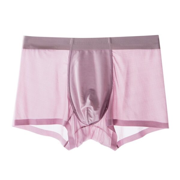 Summer Men's Ice Silk Seamless Mesh Shorts – Image 5